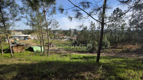 Terreno para Venda em Caranguejeira
