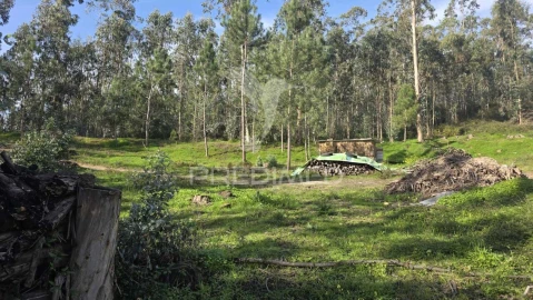 Terreno para Venda em Caranguejeira