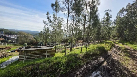 Terreno para Venda em Caranguejeira
