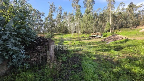 Terreno para Venda em Caranguejeira
