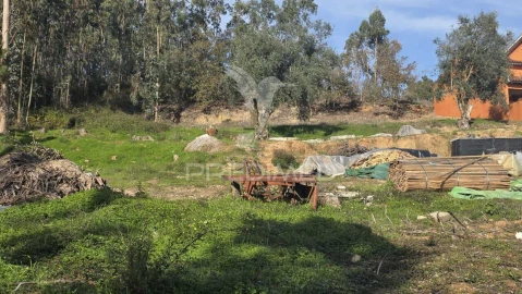 Terreno para Venda em Caranguejeira