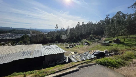 Terreno para Venda em Caranguejeira