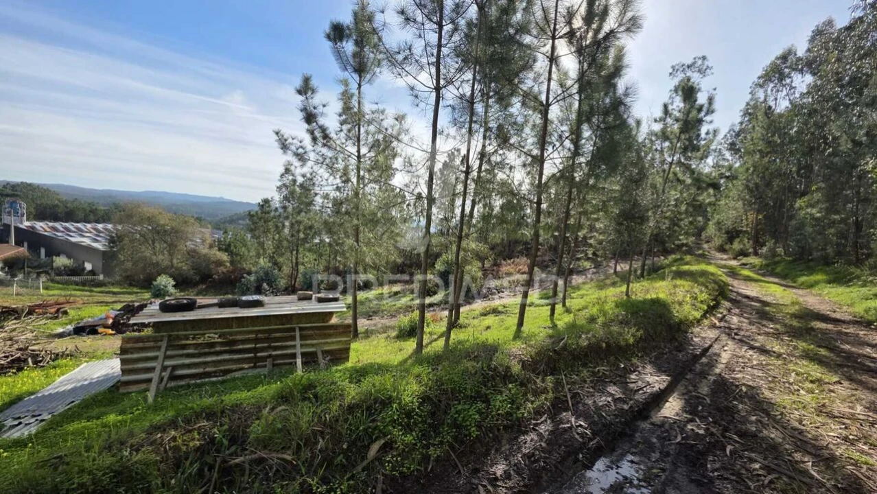 Terreno para Venda em Caranguejeira Foto 4