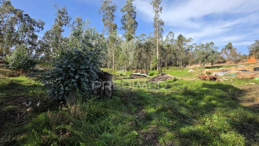 Terreno para Venda em Caranguejeira Foto 24