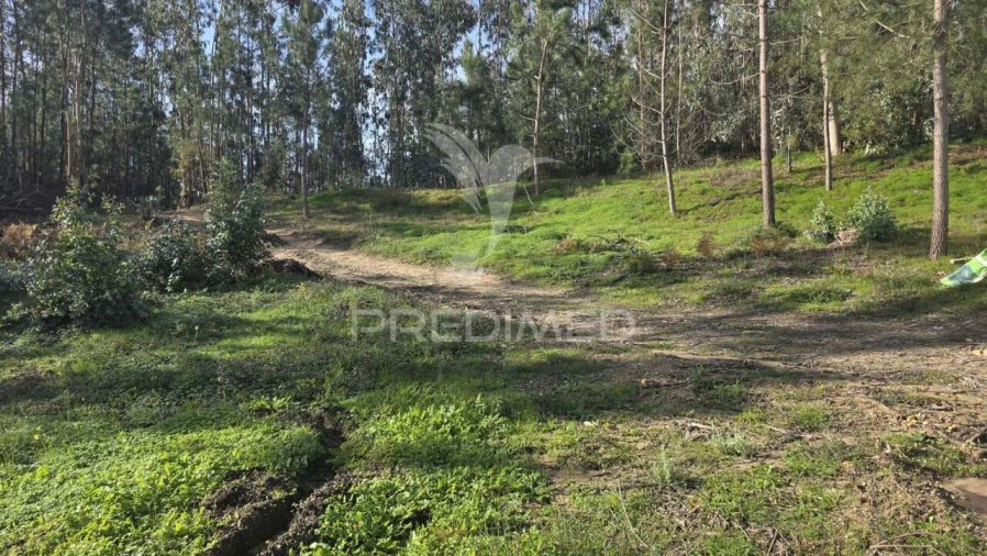 Terreno para Venda em Caranguejeira Foto 11