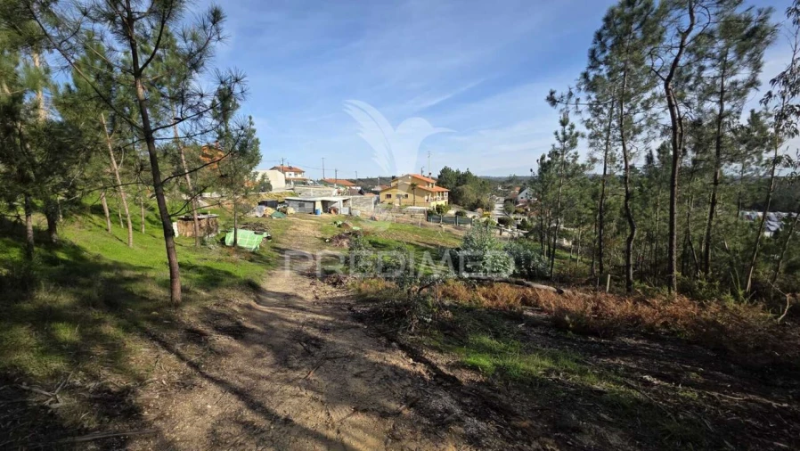 Terreno para Venda em Caranguejeira Foto 8