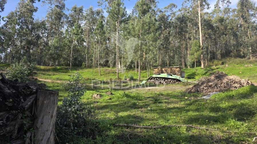 Terreno para Venda em Caranguejeira Foto 17