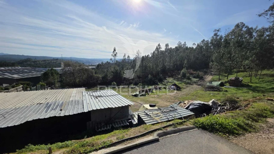 Terreno para Venda em Caranguejeira Foto 7