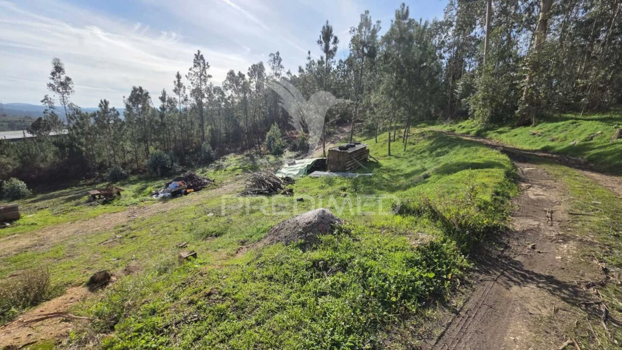 Terreno para Venda em Caranguejeira Foto 3