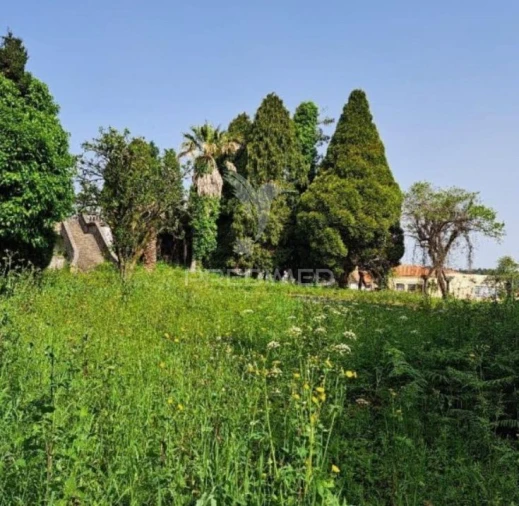 Quinta T4 para Venda em Fiães Foto 7