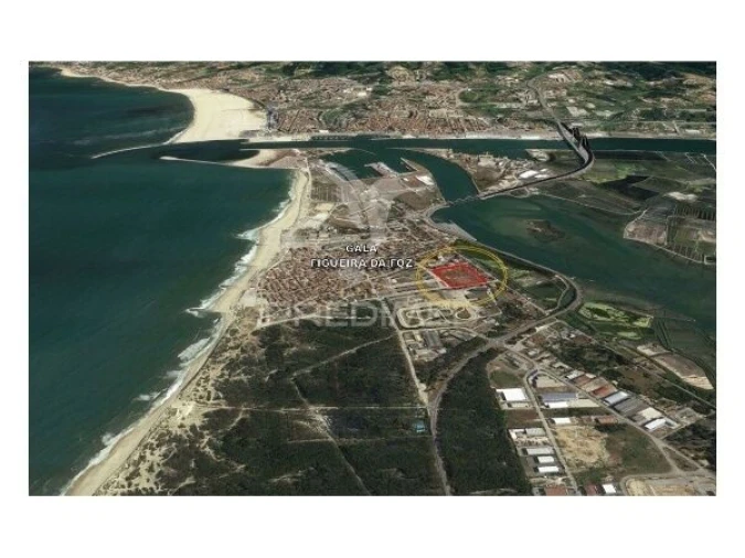 Terreno para Venda em São Pedro Foto 5