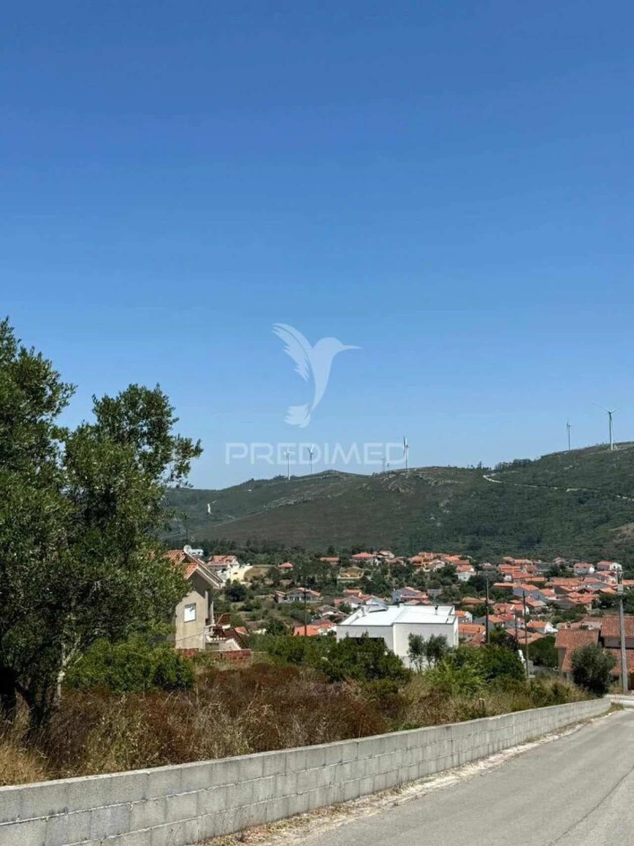 Terreno para Venda em Alqueidão da Serra Foto 4