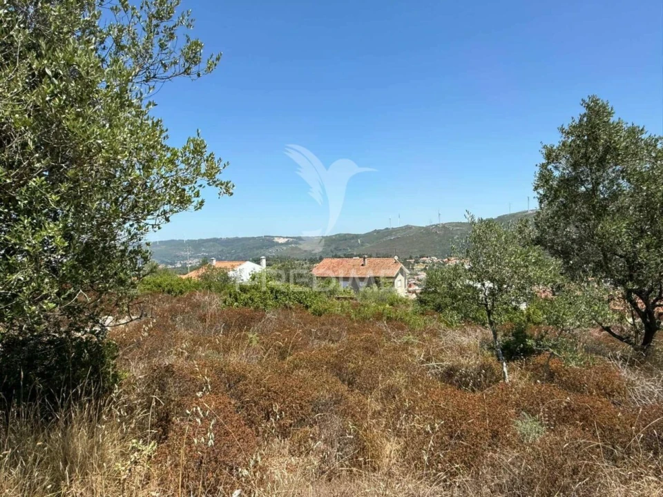 Terreno para Venda em Alqueidão da Serra Foto 7