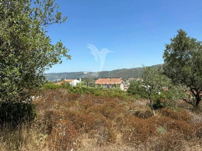 Terreno para Venda em Alqueidão da Serra Foto 7