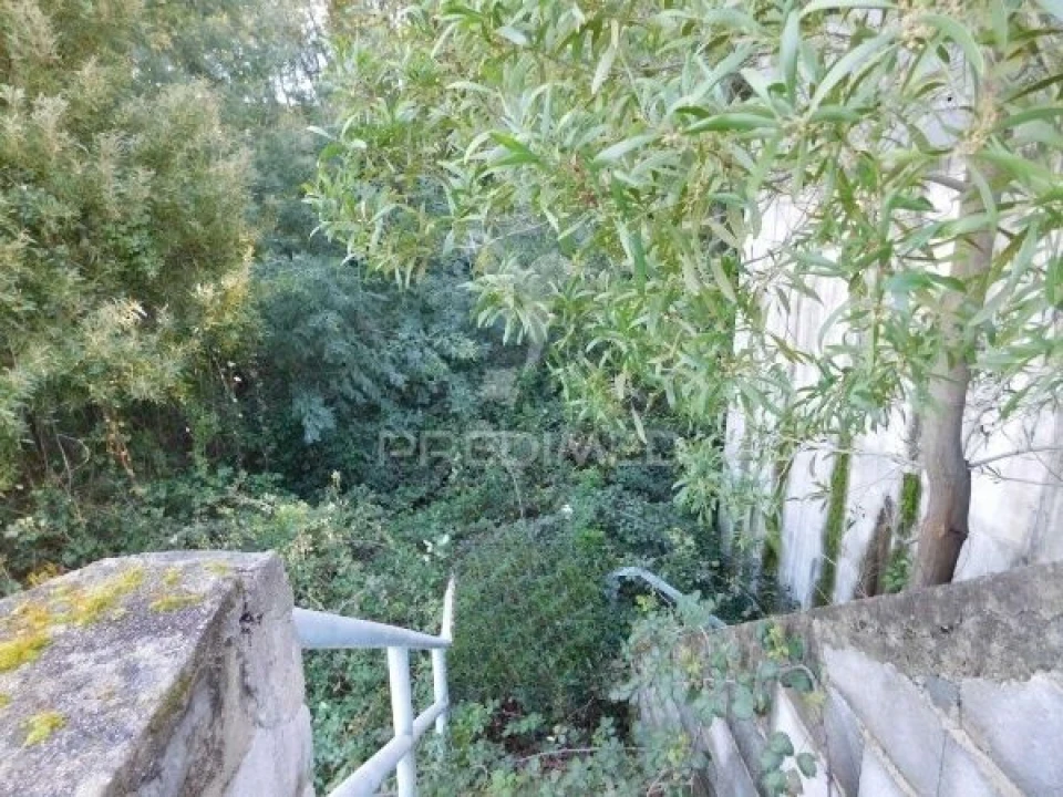 Terreno para Venda em Luso Foto 12