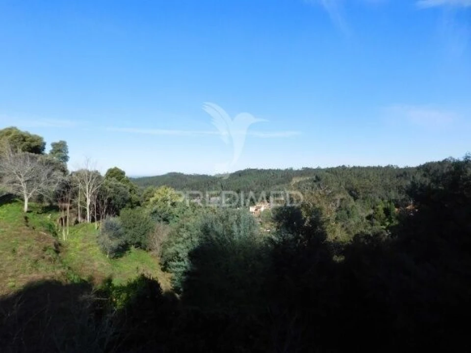 Terreno para Venda em Luso Foto 15