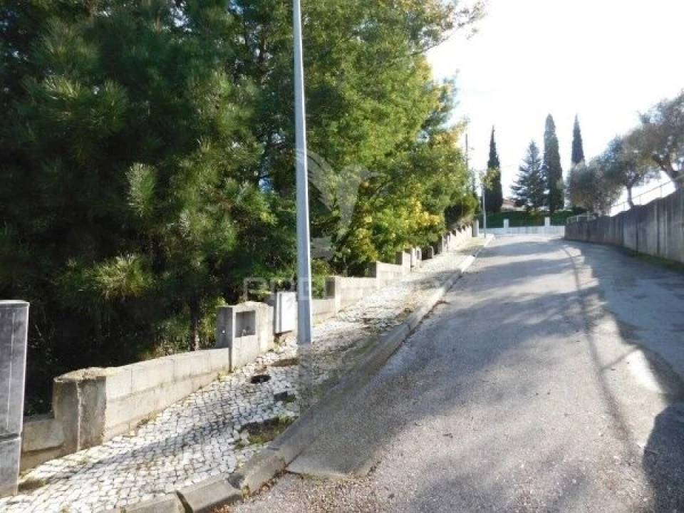 Terreno para Venda em Luso Foto 14