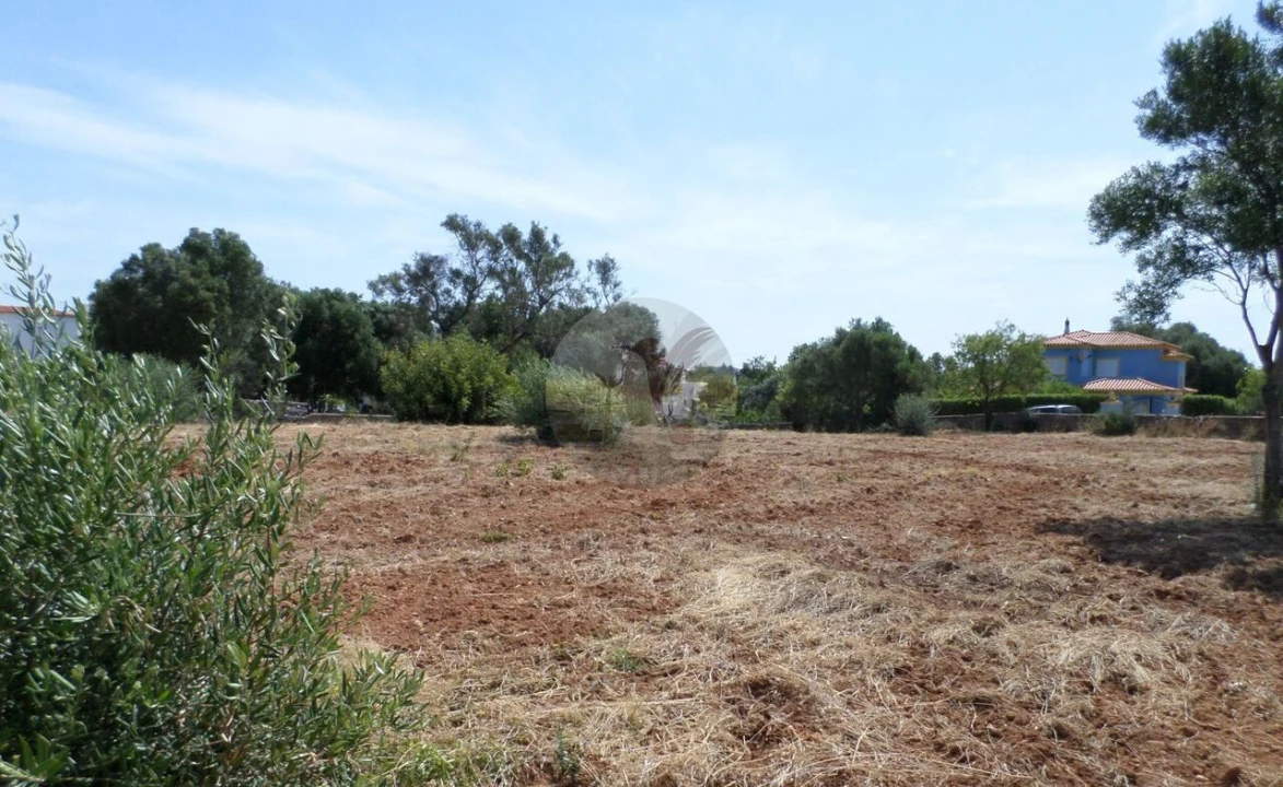 Terreno para Venda em Almancil Foto 17