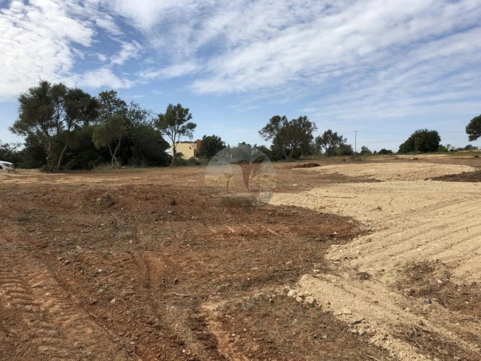 Terreno para Venda em Almancil Foto 18