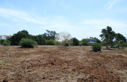 Terreno para Venda em Almancil