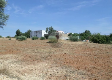 Terreno para Venda em Almancil