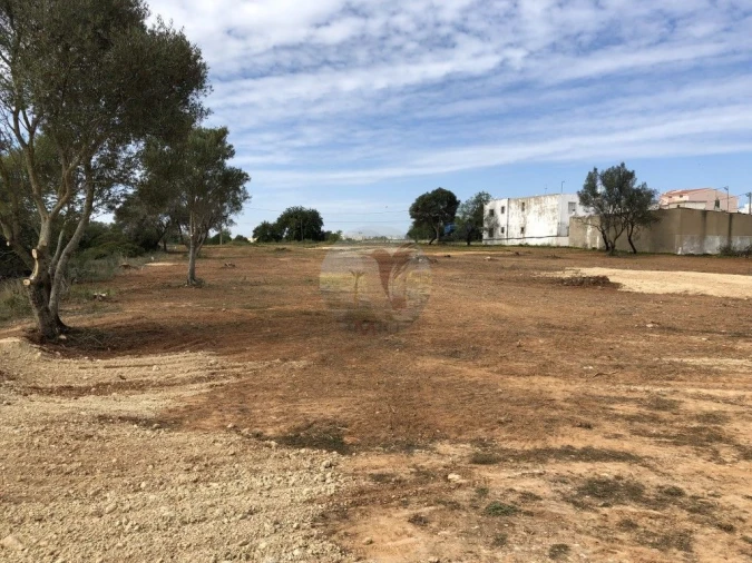 Terreno para Venda em Almancil Foto 22