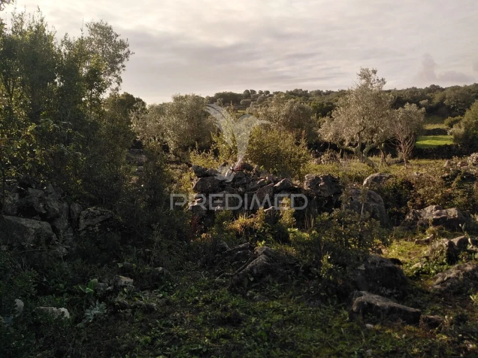 Terreno para Venda em Serra de Santo Antonio Foto 13