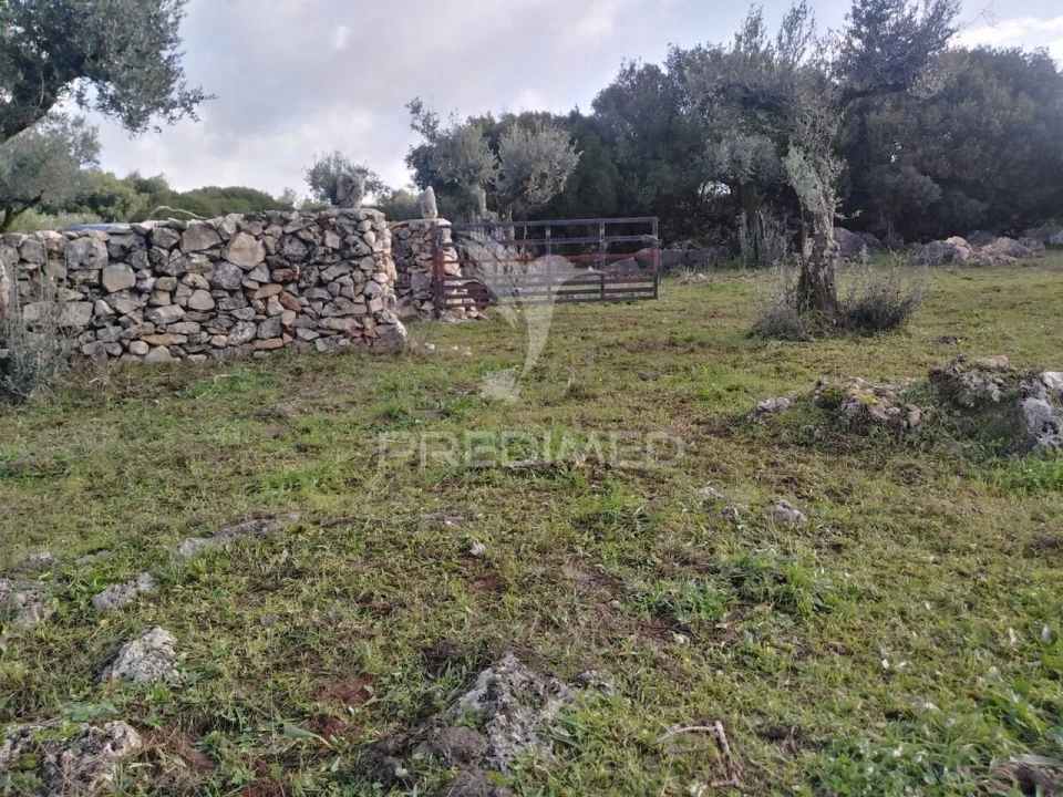 Terreno para Venda em Serra de Santo Antonio Foto 2