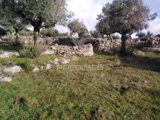 Terreno para Venda em Serra de Santo Antonio Foto 19