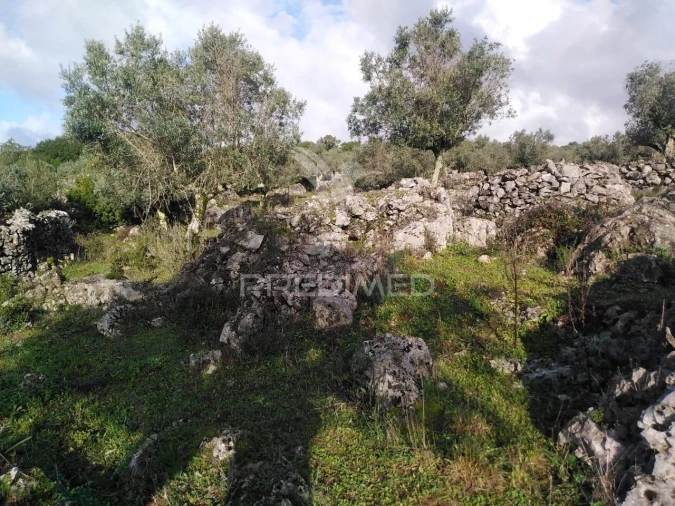 Terreno para Venda em Serra de Santo Antonio Foto 17