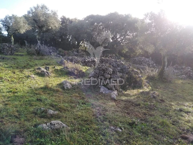 Terreno para Venda em Serra de Santo Antonio Foto 16