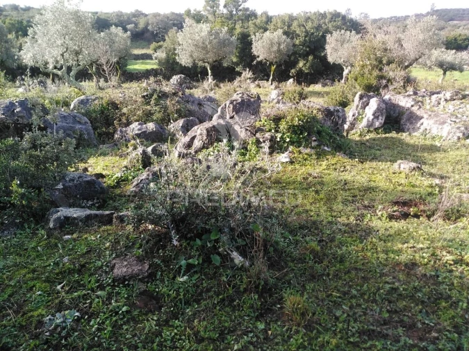 Terreno para Venda em Serra de Santo Antonio Foto 12