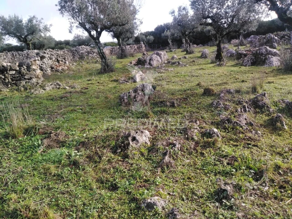 Terreno para Venda em Serra de Santo Antonio Foto 3