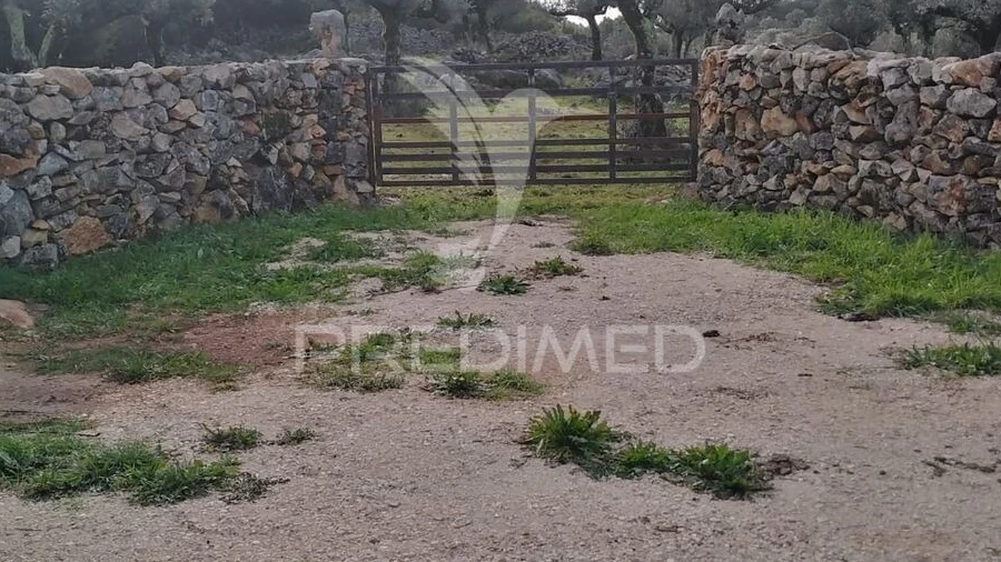 Terreno para Venda em Serra de Santo Antonio