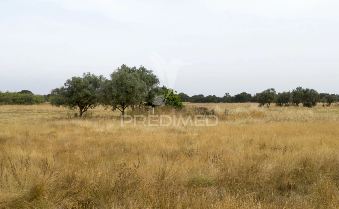 Quinta T1 para Venda em Vale de Santiago Foto 3