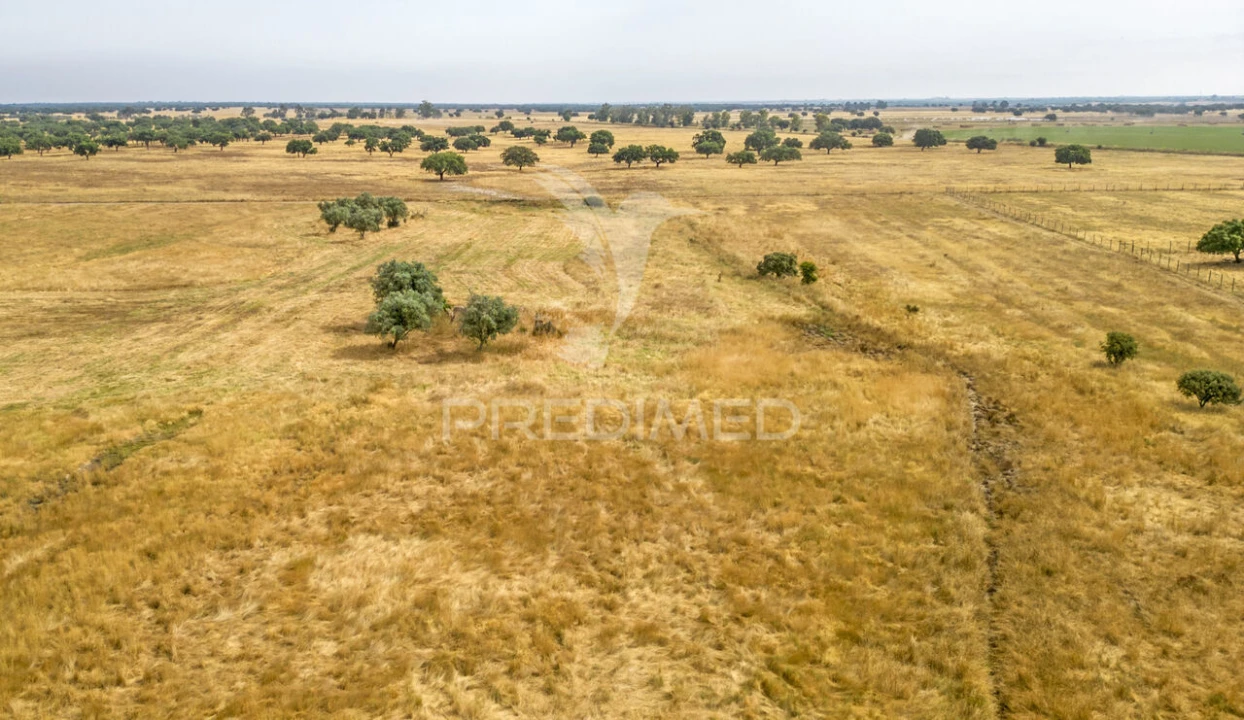 Quinta T1 para Venda em Vale de Santiago Foto 25
