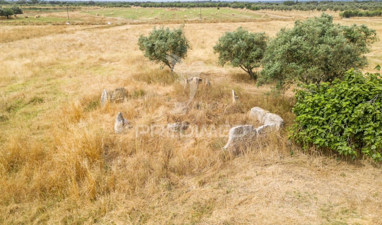 Quinta T1 para Venda em Vale de Santiago Foto 17
