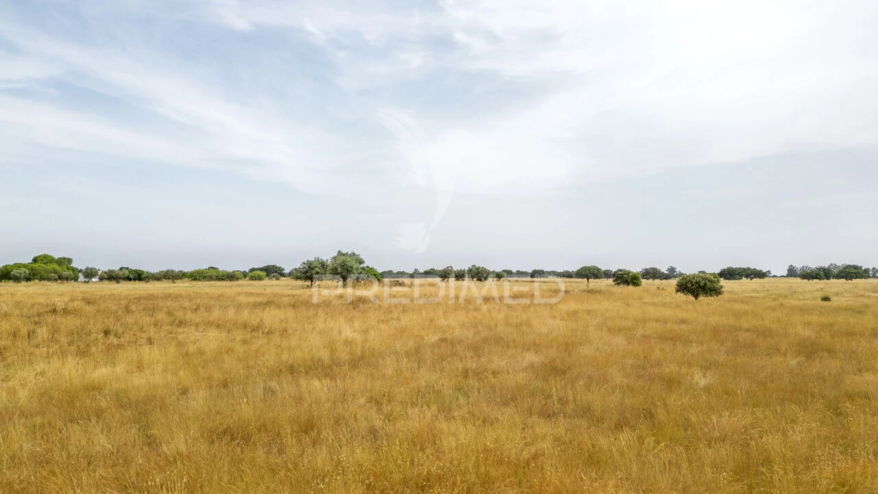 Quinta T1 para Venda em Vale de Santiago Foto 24