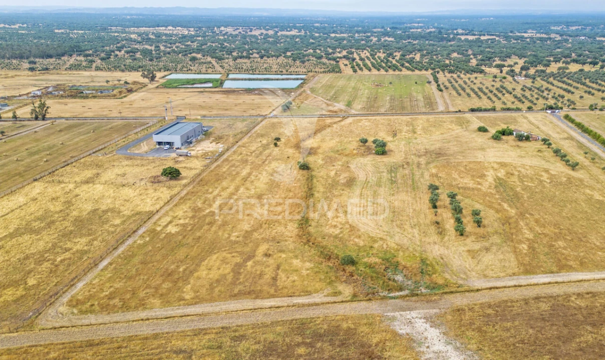 Quinta T1 para Venda em Vale de Santiago Foto 6