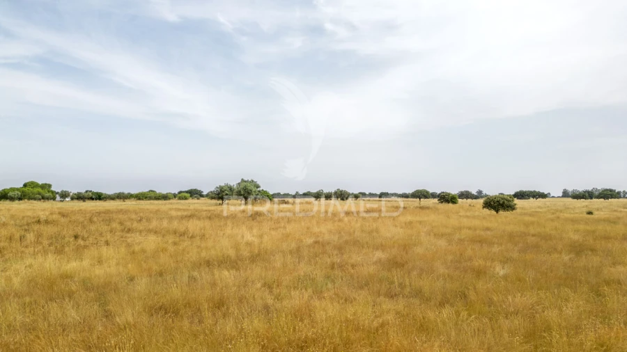 Quinta T1 para Venda em Vale de Santiago Foto 24