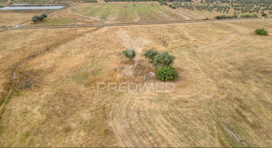 Quinta T1 para Venda em Vale de Santiago Foto 16