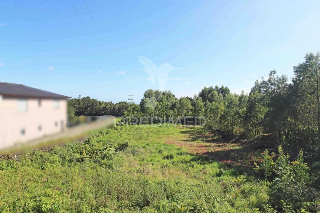 Terreno para Venda em Terra Chã Foto 5