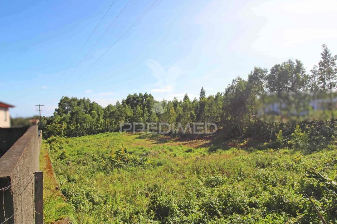 Terreno para Venda em Terra Chã Foto 3