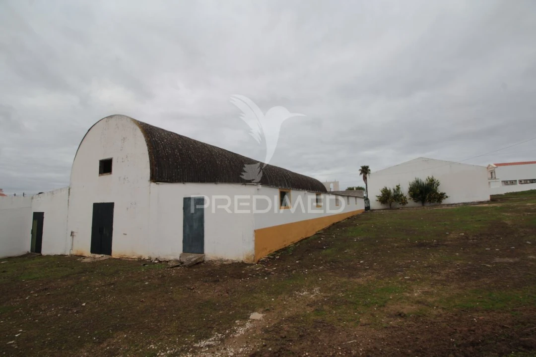 Terreno para Venda em Sousel Foto 14