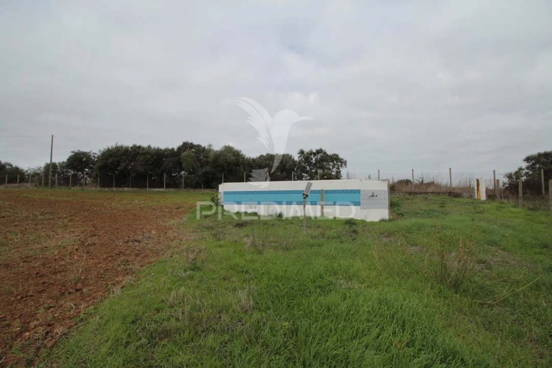 Terreno para Venda em Sousel Foto 5