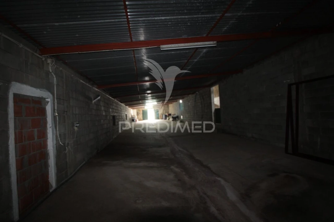 Terreno para Venda em Sousel Foto 19