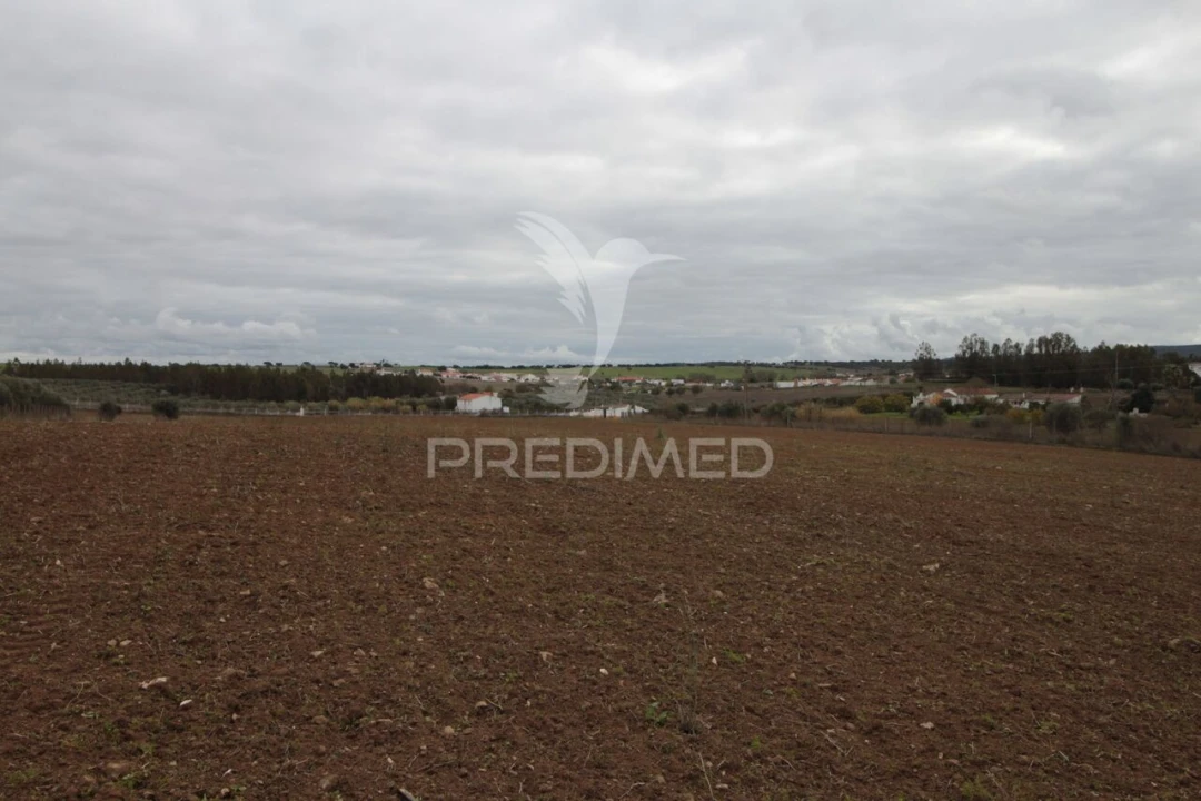 Terreno para Venda em Sousel Foto 10