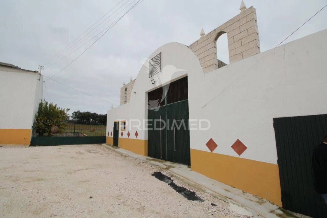 Terreno para Venda em Sousel Foto 3