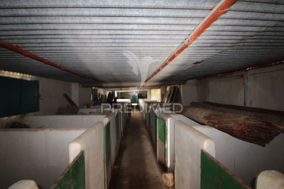 Terreno para Venda em Sousel Foto 22