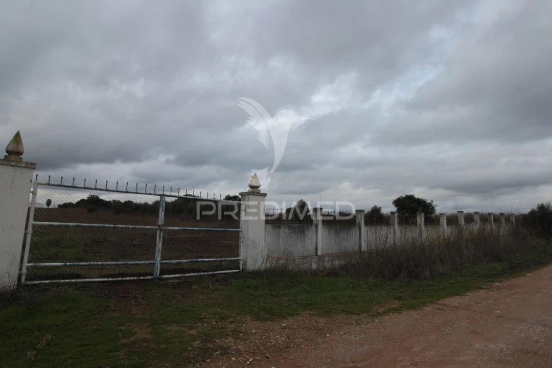 Terreno para Venda em Sousel Foto 25